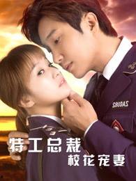 特工总裁校花宠妻,甜蜜复仇之路