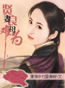 贤妻难为,揭秘现代婚姻中的挑战与智慧